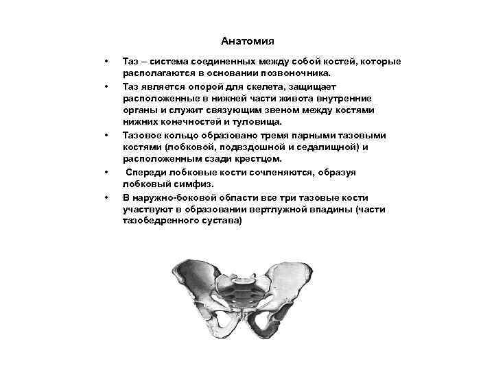 Анатомия • • • Таз – система соединенных между собой костей, которые располагаются в