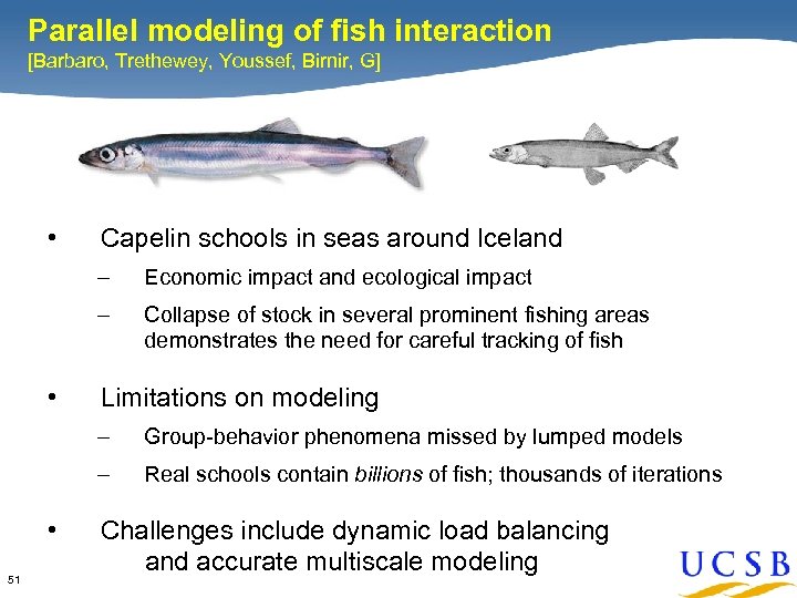 Parallel modeling of fish interaction [Barbaro, Trethewey, Youssef, Birnir, G] • Capelin schools in