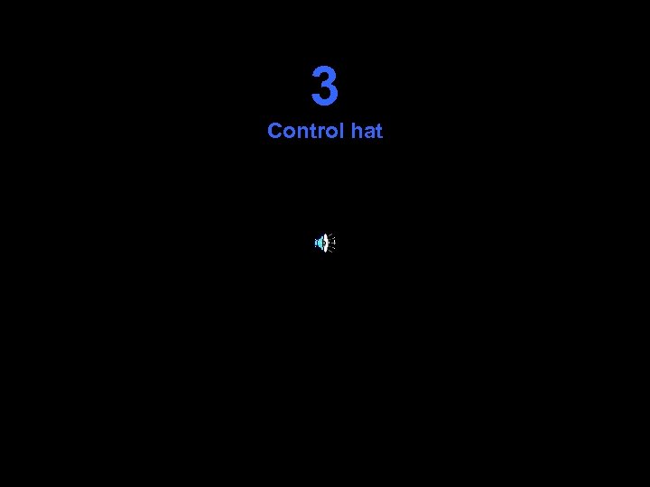 3 Control hat 