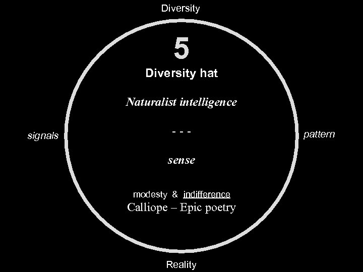 Diversity 5 Diversity hat Naturalist intelligence signals --sense modesty & indifference Calliope – Epic