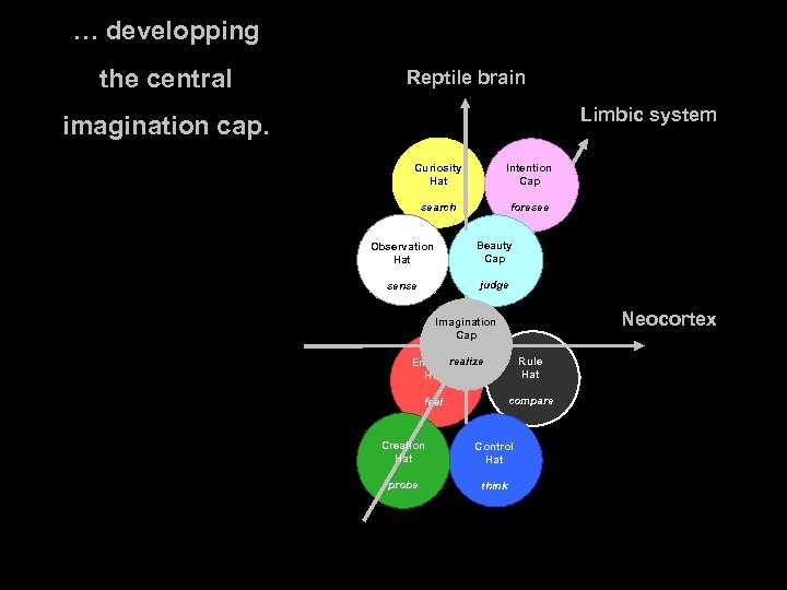 … developping the central Reptile brain Limbic system imagination cap. Curiosity Hat Intention Cap