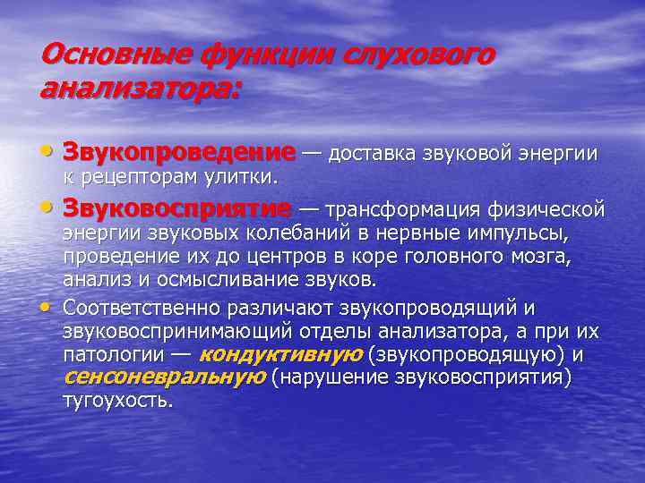 Основные функции слухового анализатора: • Звукопроведение — доставка звуковой энергии к рецепторам улитки. •