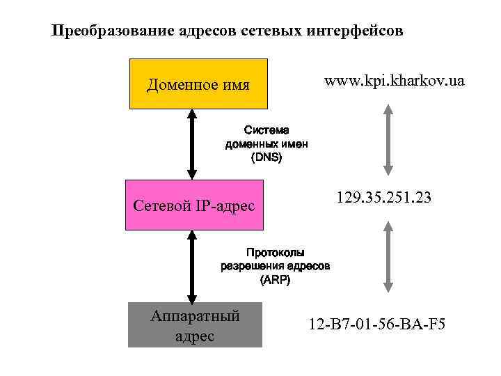 Преобразование адресов сетевых интерфейсов www. kpi. kharkov. ua Доменное имя Система доменных имен (DNS)