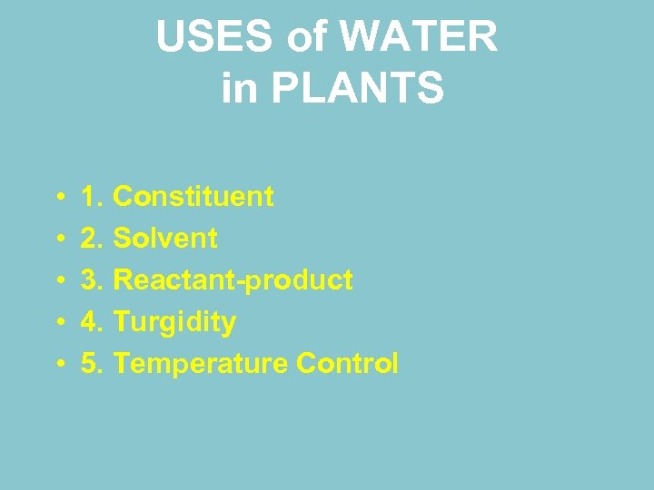 USES of WATER in PLANTS • • • 1. Constituent 2. Solvent 3. Reactant-product