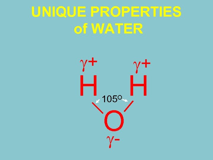 UNIQUE PROPERTIES of WATER + H + 105 O O - H 