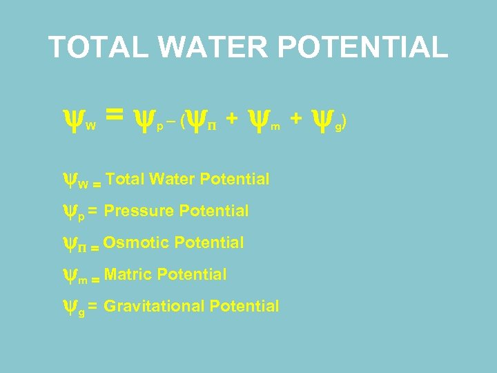 TOTAL WATER POTENTIAL = – ( W p + m W = Total Water