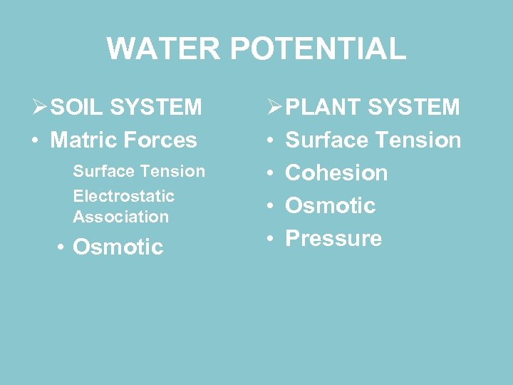 WATER POTENTIAL Ø SOIL SYSTEM • Matric Forces Surface Tension Electrostatic Association • Osmotic
