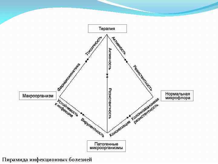 Пирамида инфекционных болезней 