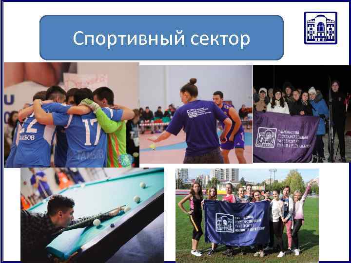 Спортивный сектор 