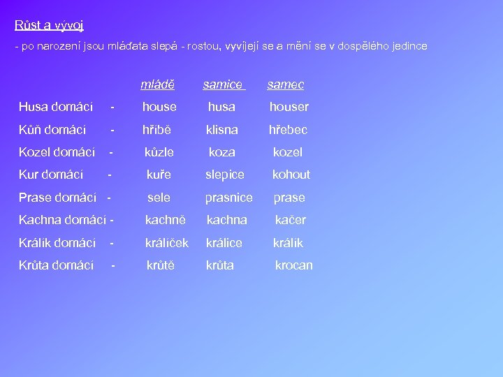 Růst a vývoj - po narození jsou mláďata slepá - rostou, vyvíjejí se a