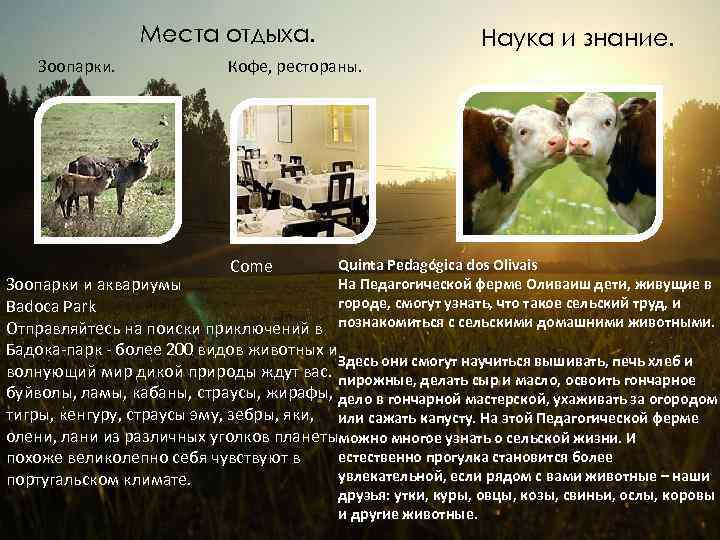 Места отдыха. Зоопарки. Наука и знание. Кофе, рестораны. Come Quinta Pedagógica dos Olivais На
