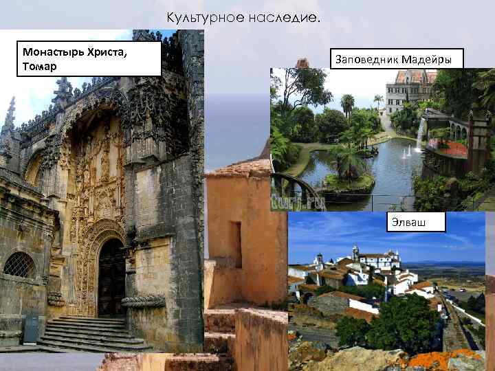 Культурное наследие. Монастырь Христа, Томар Заповедник Мадейры Элваш 