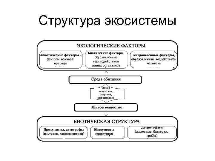 3 структура среды управления