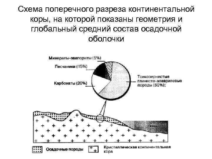 Схема поперечного разреза континентальной коры, на которой показаны геометрия и глобальный средний состав осадочной