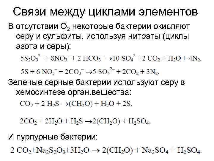 Связи между циклами элементов В отсутствии О 2 некоторые бактерии окисляют серу и сульфиты,