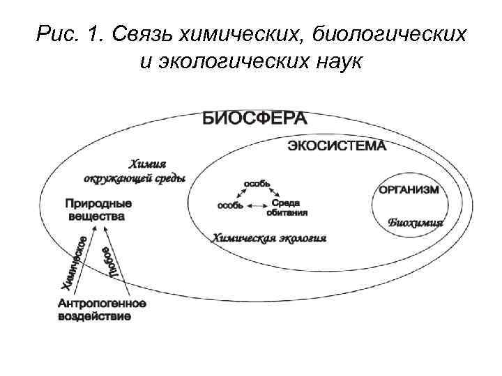 Нарисуйте схему связь биосферы