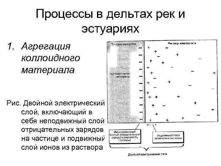 Процессы в дельтах рек и эстуариях 1. Агрегация коллоидного материала Рис. Двойной электрический слой,