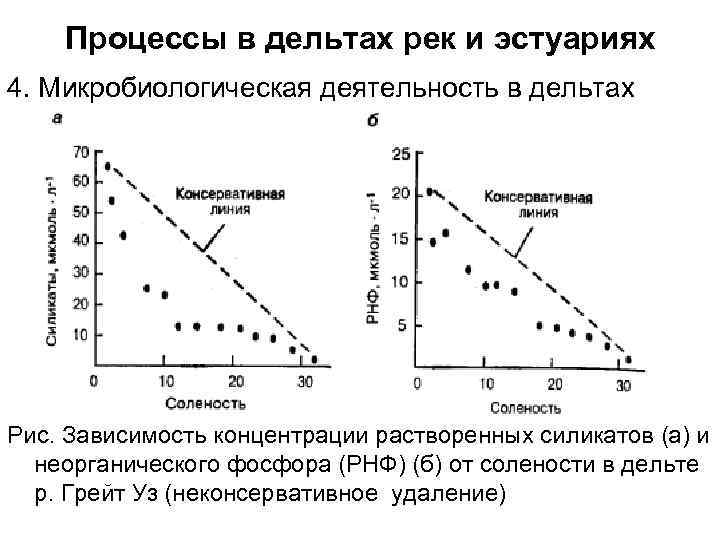 Процессы в дельтах рек и эстуариях 4. Микробиологическая деятельность в дельтах Рис. Зависимость концентрации