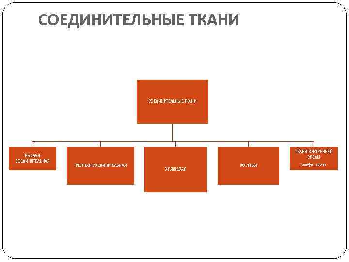 СОЕДИНИТЕЛЬНЫЕ ТКАНИ РЫХЛАЯ СОЕДИНИТЕЛЬНАЯ ПЛОТНАЯ СОЕДИНИТЕЛЬНАЯ ХРЯЩЕВАЯ КОСТНАЯ ТКАНИ ВНУТРЕННЕЙ СРЕДЫ лимфа , кровь