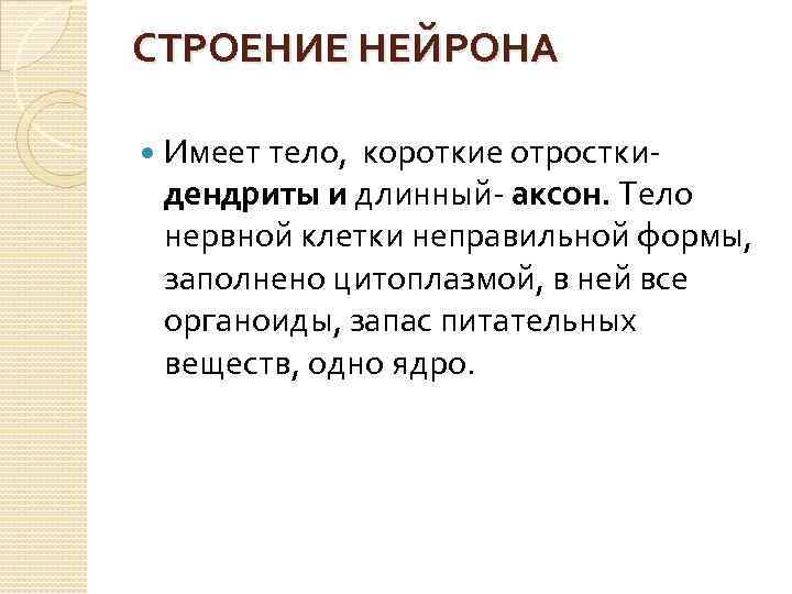 СТРОЕНИЕ НЕЙРОНА Имеет тело, короткие отросткидендриты и длинный- аксон. Тело нервной клетки неправильной формы,