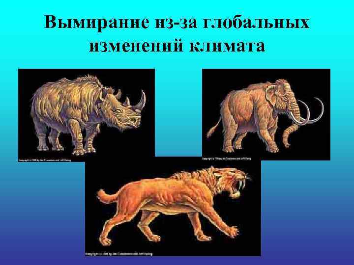 Вымирание из-за глобальных изменений климата 