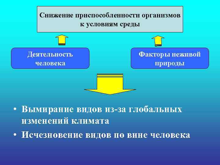 Снижение приспособленности организмов к условиям среды Деятельность человека Факторы неживой природы • Вымирание видов