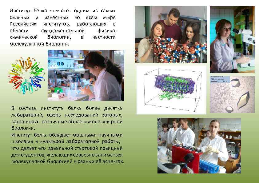 Институт белка является одним из самых сильных и известных во всем мире Российских институтов,