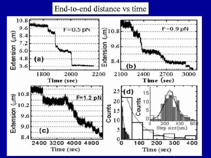 End-to-end distance vs time 