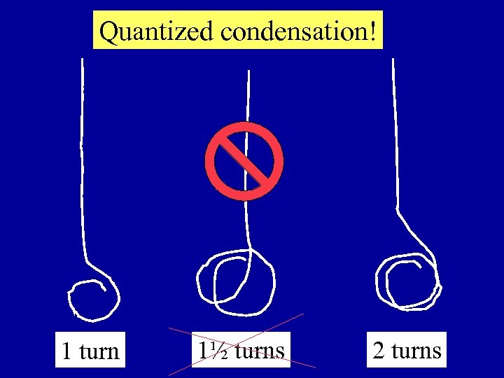 Quantized condensation! 1 turn 1½ turns 2 turns 