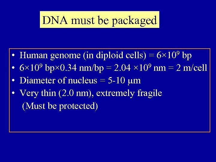 DNA must be packaged • • Human genome (in diploid cells) = 6× 109