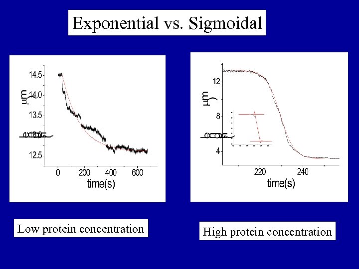 Exponential vs. Sigmoidal Low protein concentration High protein concentration 