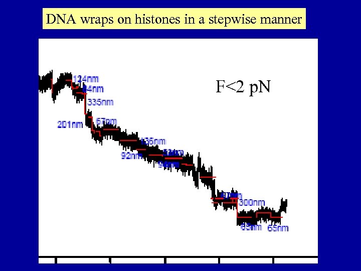 DNA wraps on histones in a stepwise manner F<2 p. N 