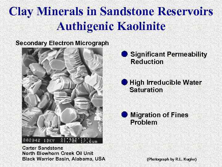 Clay Minerals in Sandstone Reservoirs Authigenic Kaolinite Secondary Electron Micrograph Significant Permeability Reduction High