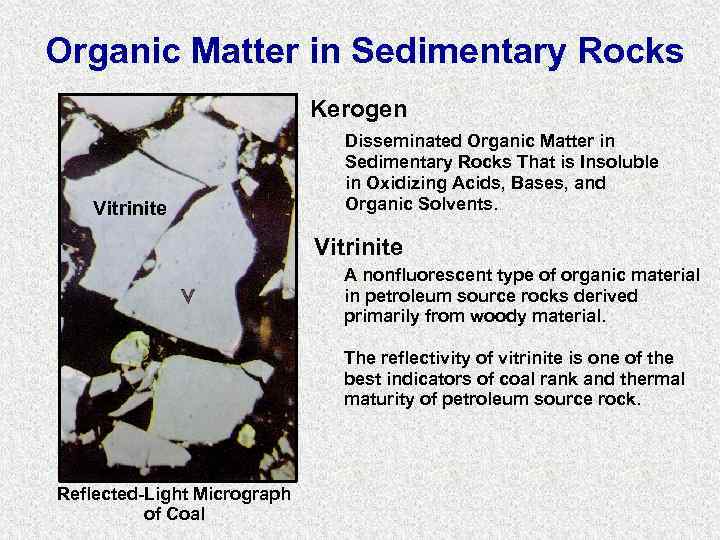 Organic Matter in Sedimentary Rocks Kerogen Vitrinite Disseminated Organic Matter in Sedimentary Rocks That