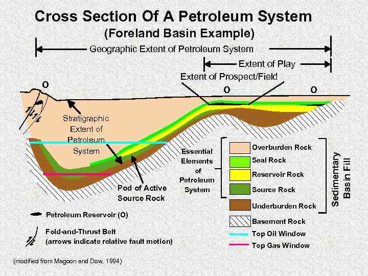 Cross Section Of A Petroleum System (Foreland Basin Example) Geographic Extent of Petroleum System