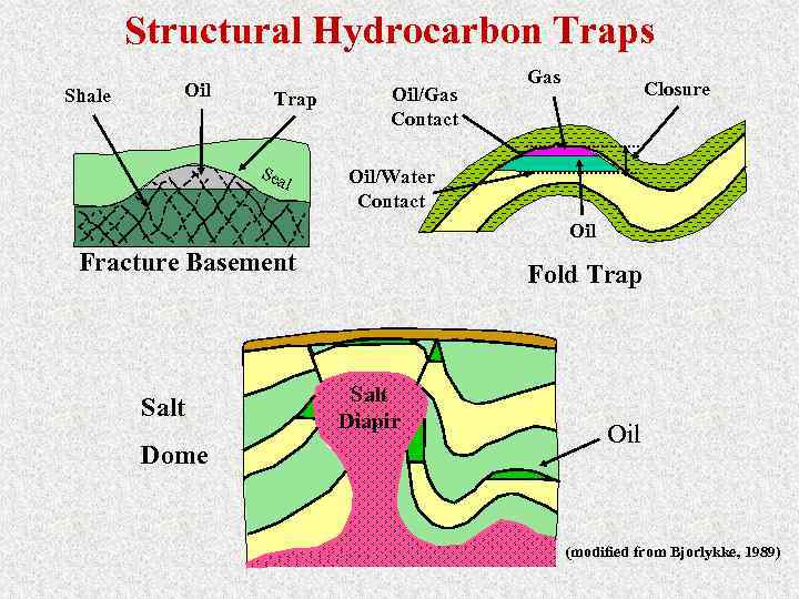 Structural Hydrocarbon Traps Shale Oil Trap Sea l Oil/Gas Contact Gas Closure Oil/Water Contact