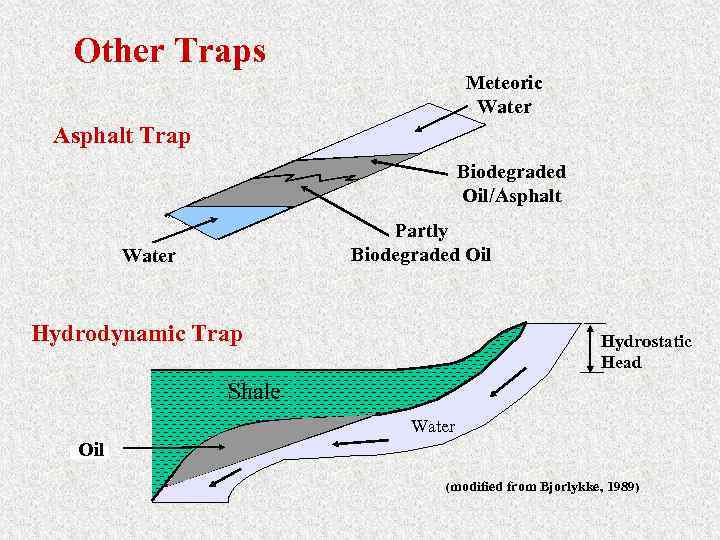 Other Traps Meteoric Water Asphalt Trap Biodegraded Oil/Asphalt Partly Biodegraded Oil Water Hydrodynamic Trap