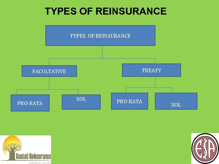 TYPES OF REINSURANCE TREATY FACULTATIVE PRO-RATA XOL 