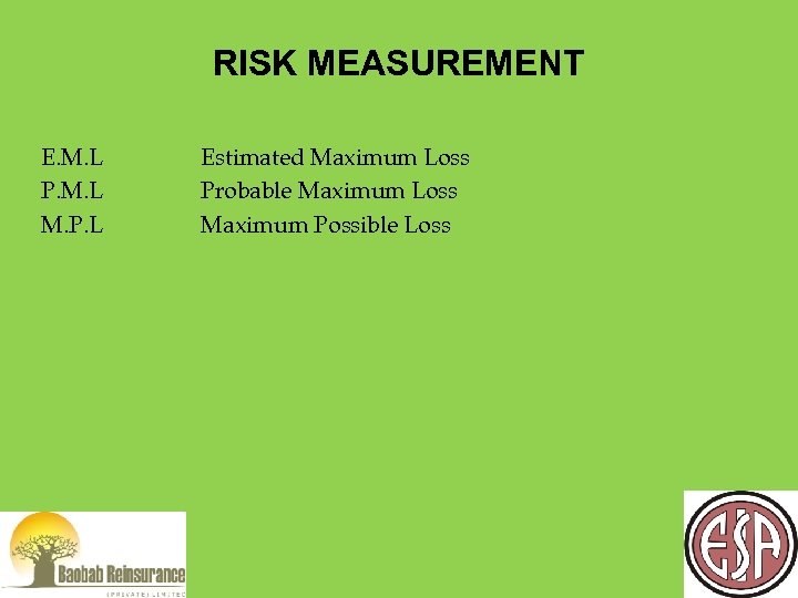 RISK MEASUREMENT E. M. L P. M. L M. P. L Estimated Maximum Loss