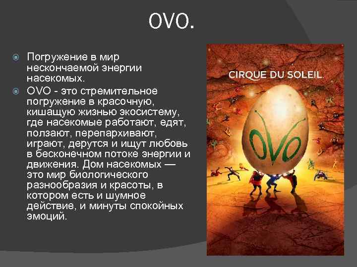 OVO. Погружение в мир нескончаемой энергии насекомых. OVO - это стрeмительное погружение в красочную,