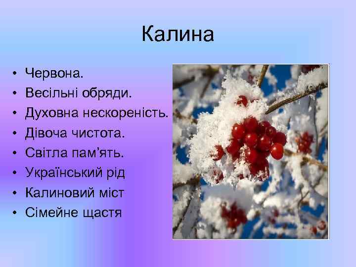 Калина • • Червона. Весільні обряди. Духовна нескореність. Дівоча чистота. Світла пам’ять. Український рід