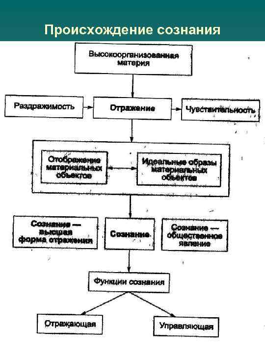 Происхождение сознания. Происхождение сознания схема. Происхождение сознания таблица. Возникновение сознания человека схема. Происхождение сознания в философии схема.