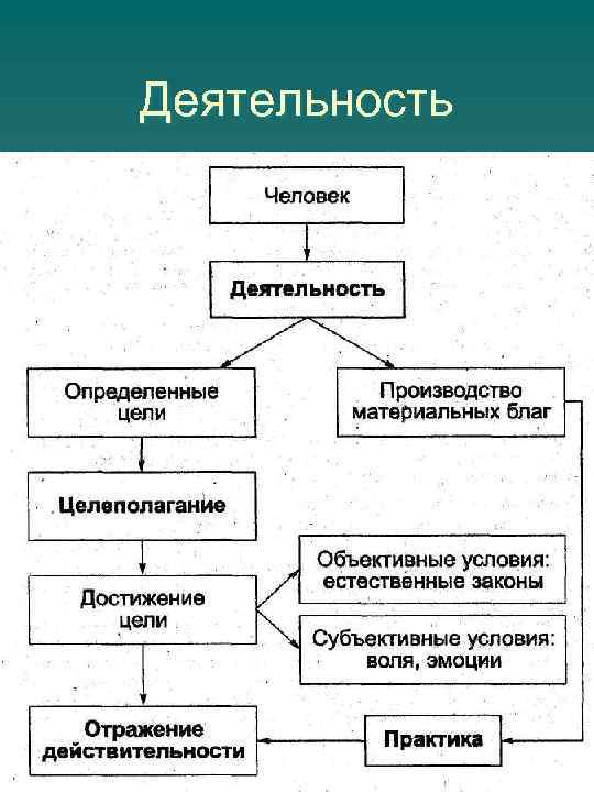 Деятельность 