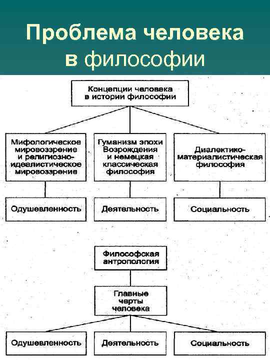 Проблема человека в философии 