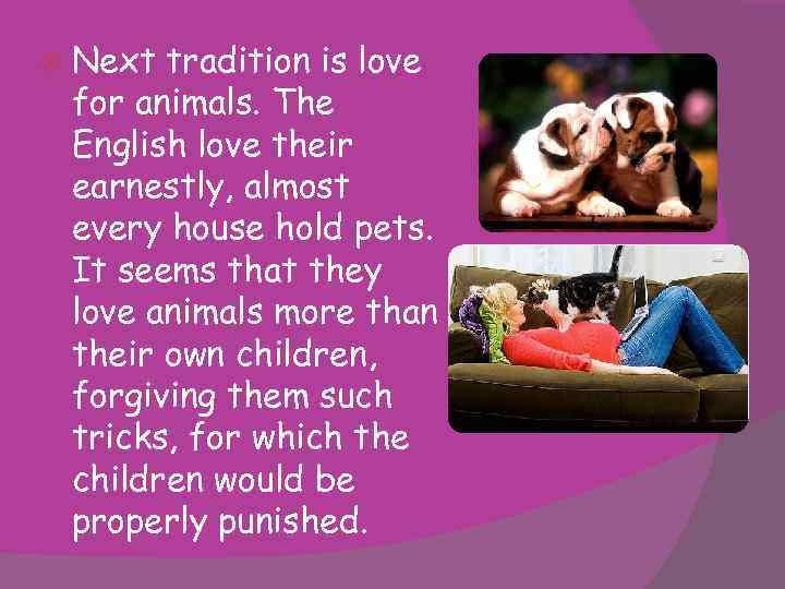  Next tradition is love for animals. The English love their earnestly, almost every