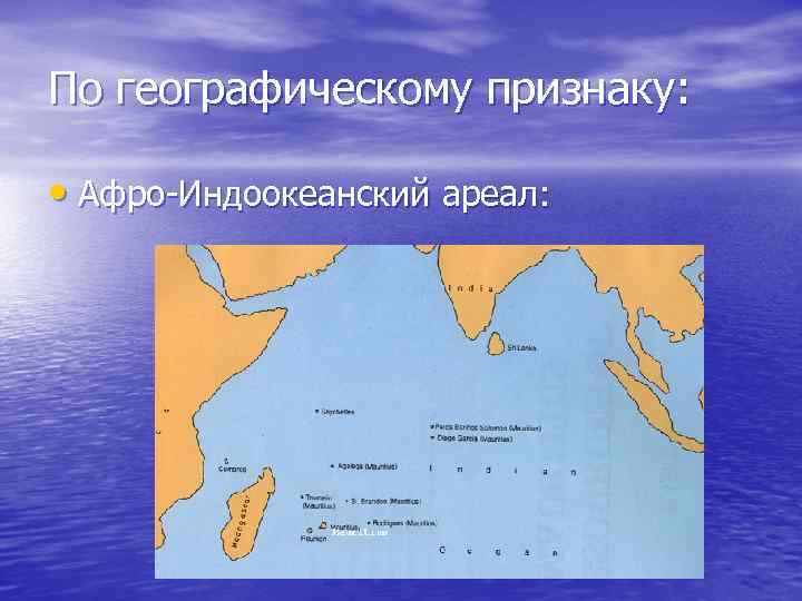 По географическому признаку: • Афро-Индоокеанский ареал: 