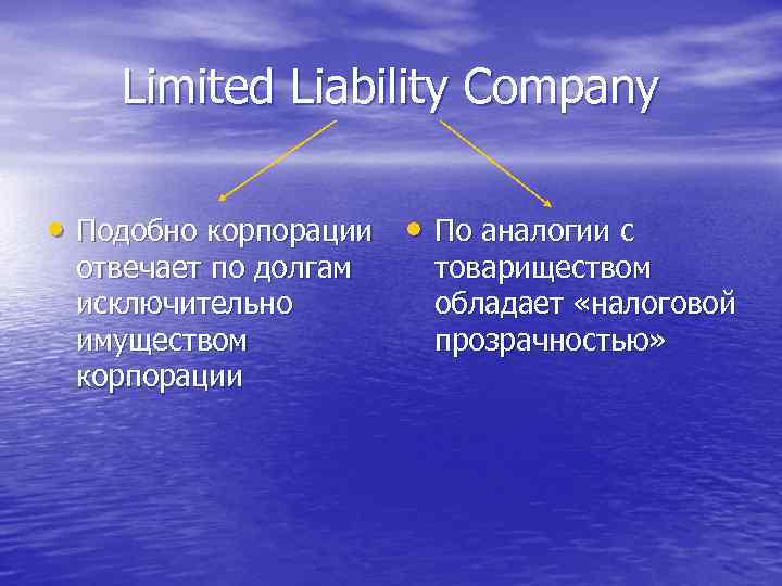 Limited Liability Company • Подобно корпорации • По аналогии с отвечает по долгам исключительно