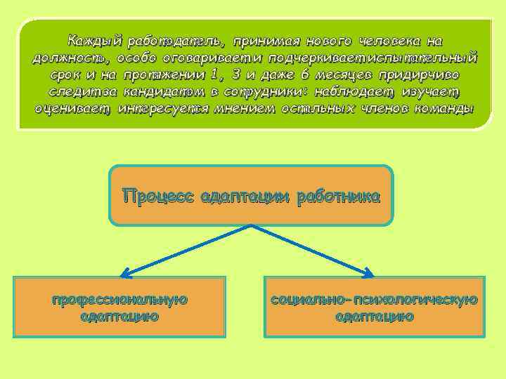 Каждый работодатель, принимая нового человека на должность, особо оговаривает и подчеркивает испытательный срок и