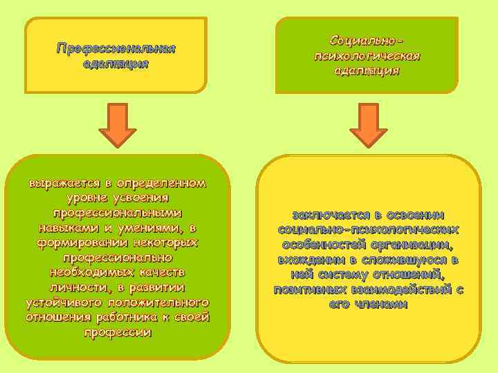 Профессиональная адаптация Социальнопсихологическая адаптация выражается в определенном уровне усвоения профессиональными навыками и умениями, в
