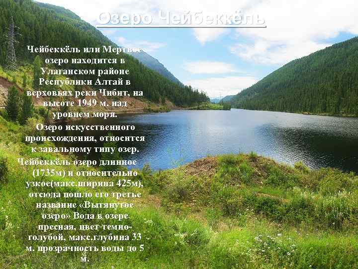 Озеро Чейбеккёль или Мертвое озеро находится в Улаганском районе Республики Алтай в верховьях реки